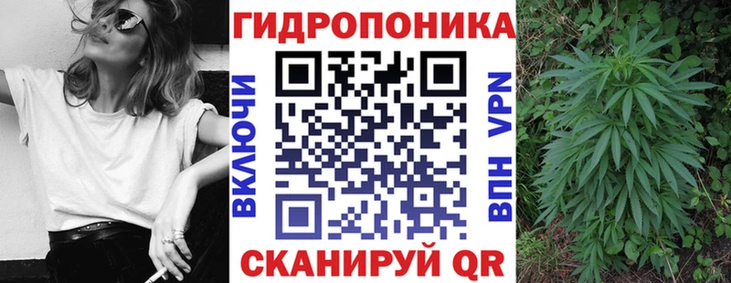 купить закладку  Раменское  Бошки марихуана SATIVA & INDICA 